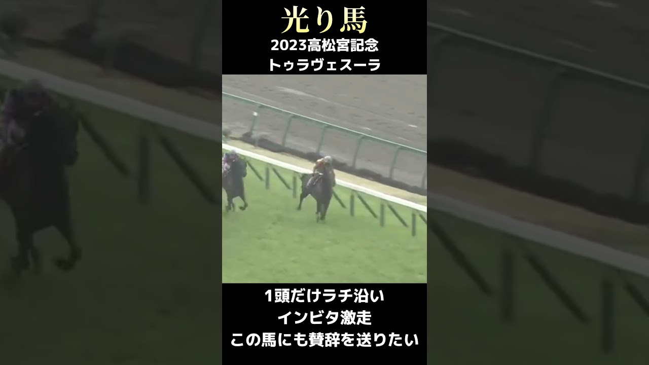 【光り馬 THE HERO】2023 高松宮記念　#競馬 #競馬予想 #競馬好き #名レース #keiba #g1 #g2 #g3 #役立つ #的中 #重賞