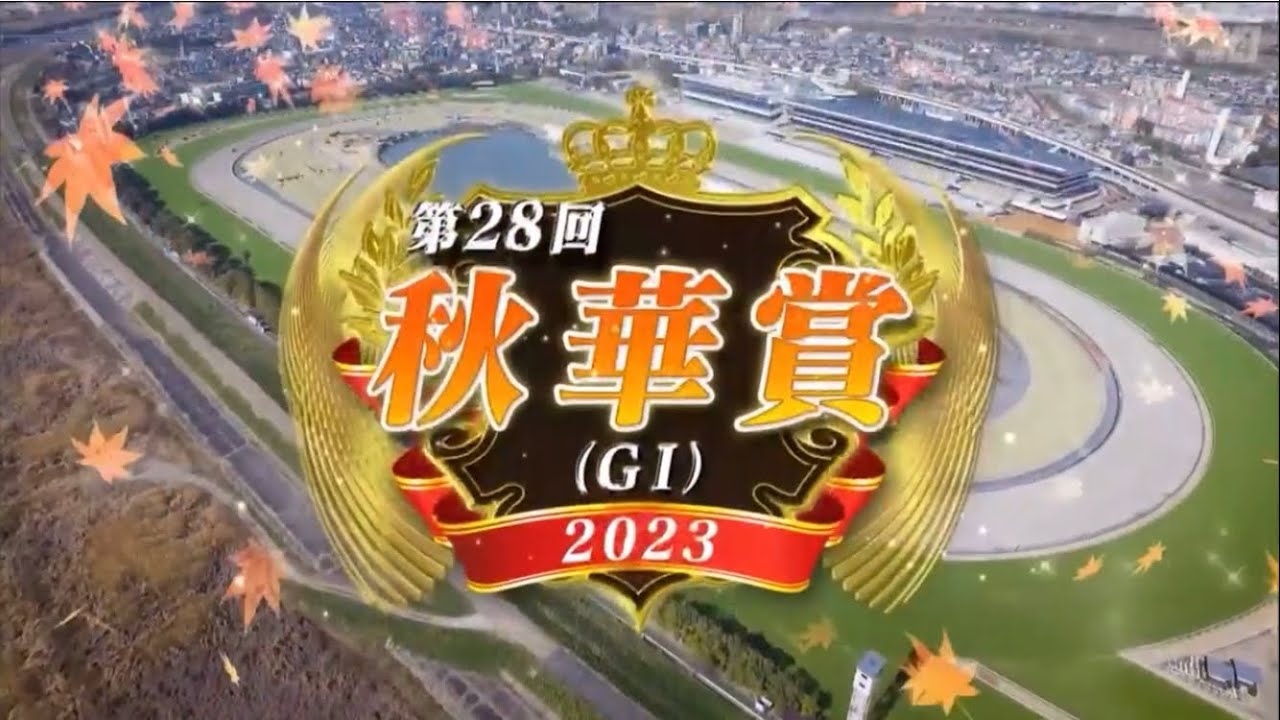 第28回秋華賞(GⅠ)
