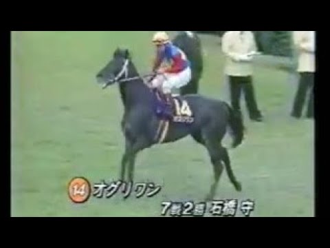 第５５回　皐月賞 （ＧⅠ）　本馬場入場　　出走馬：ダイタクテイオー、ホッカイルソー、ジェニュイン、タヤスツヨシ、ハシノタイユウ、イブキタモンヤグラ、フライトスズカ、マイネルブリッジ、オグリワン他