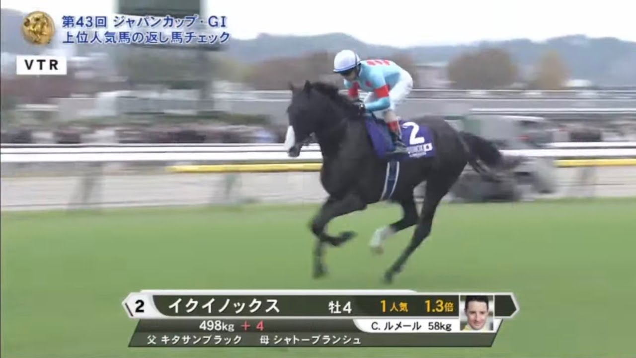 2023年 ジャパンカップ (GI) 本馬場入場 【イクイノックス】