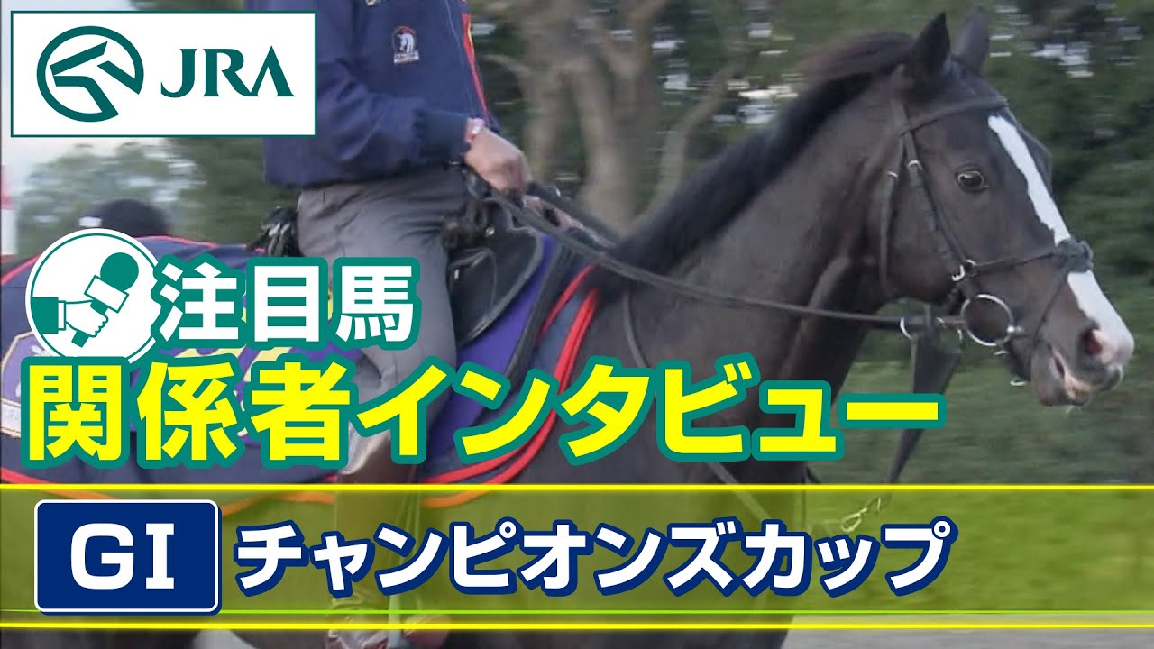 【注目馬 関係者インタビュー】2023年 チャンピオンズカップ｜JRA公式