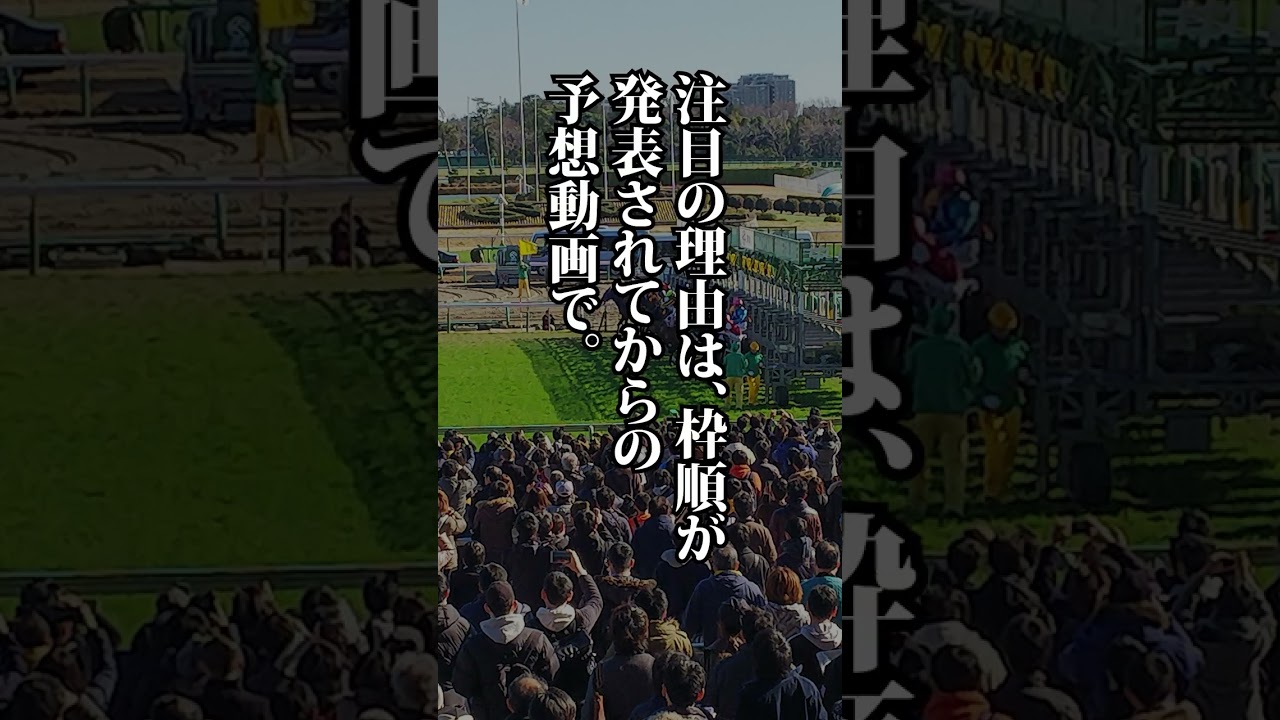 2023 中山記念、阪急杯、注目の一頭