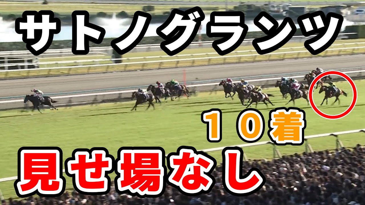 【菊花賞】サトノグランツとは何だったのか　#長距離の川田