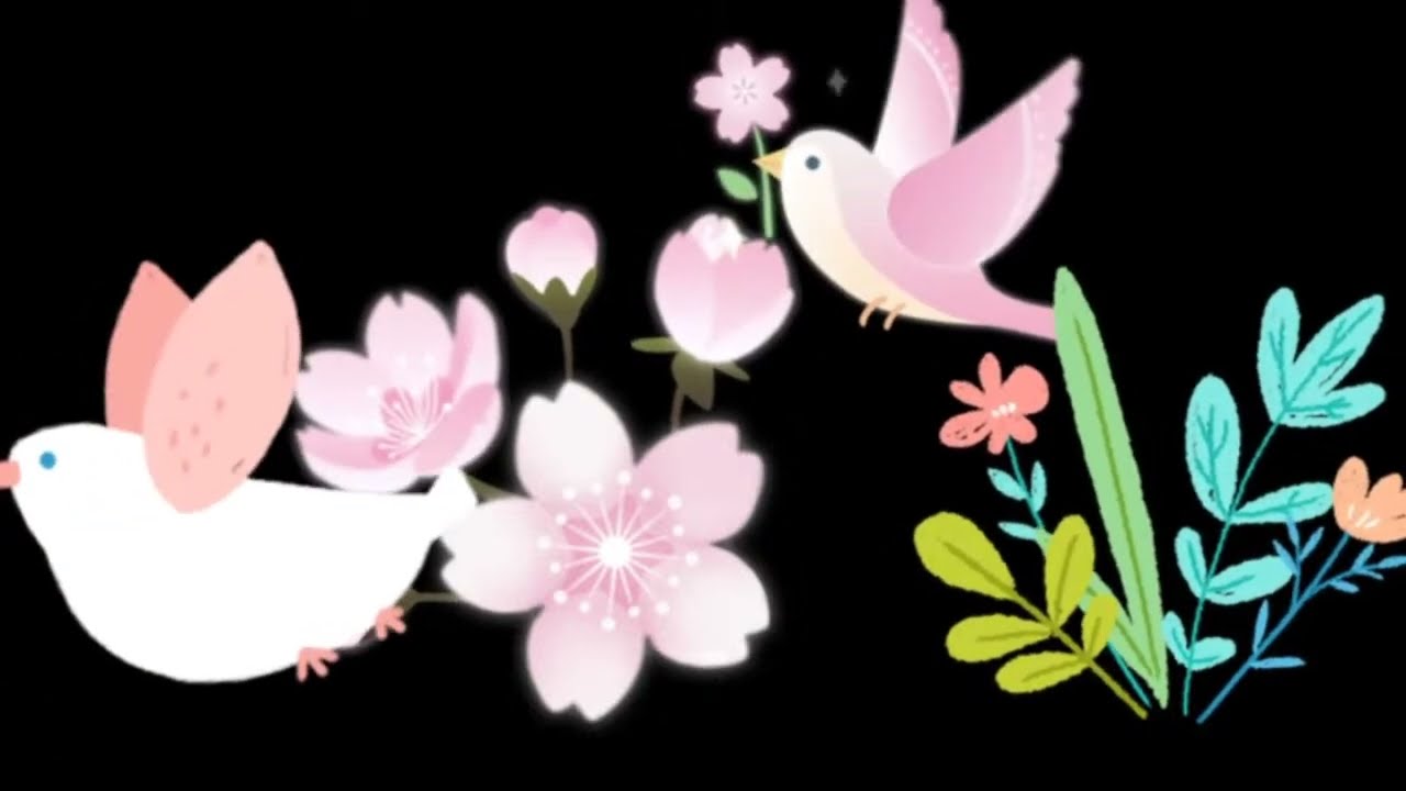 How to make a beautiful flying bird video effect video