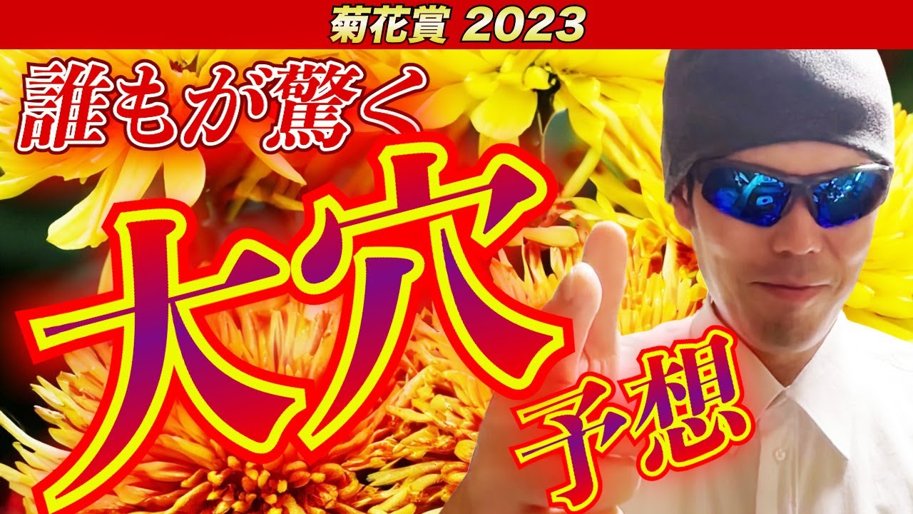 【菊花賞2023】誰もが驚く大穴予想！！【競馬予想】