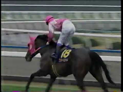 1995 桜花賞 ワンダーパヒューム