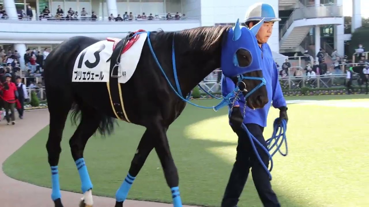 ブリエヴェール･中山・障害未勝利 2023年12月10日