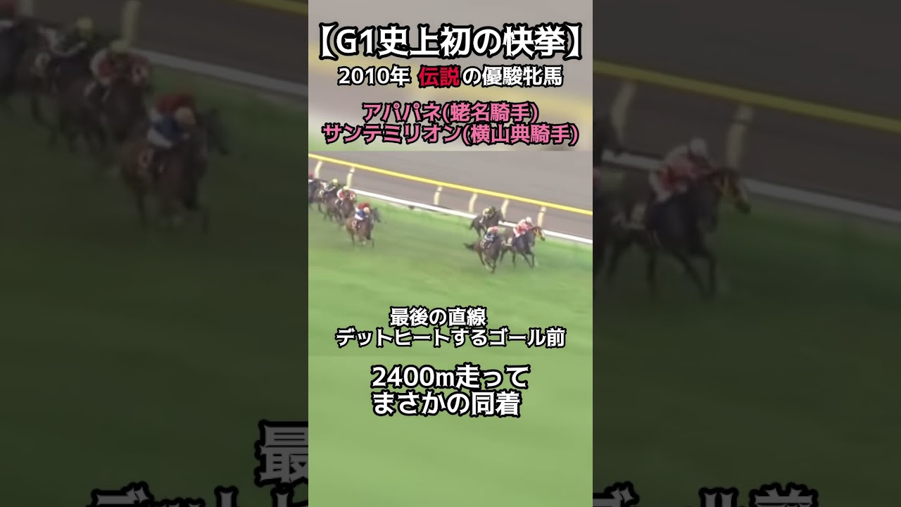 【競馬】伝説の優駿牝馬！！2400m走ってまさかの結果に… #競馬 #優駿牝馬 #アパパネ #サンテミリオン #昼おは