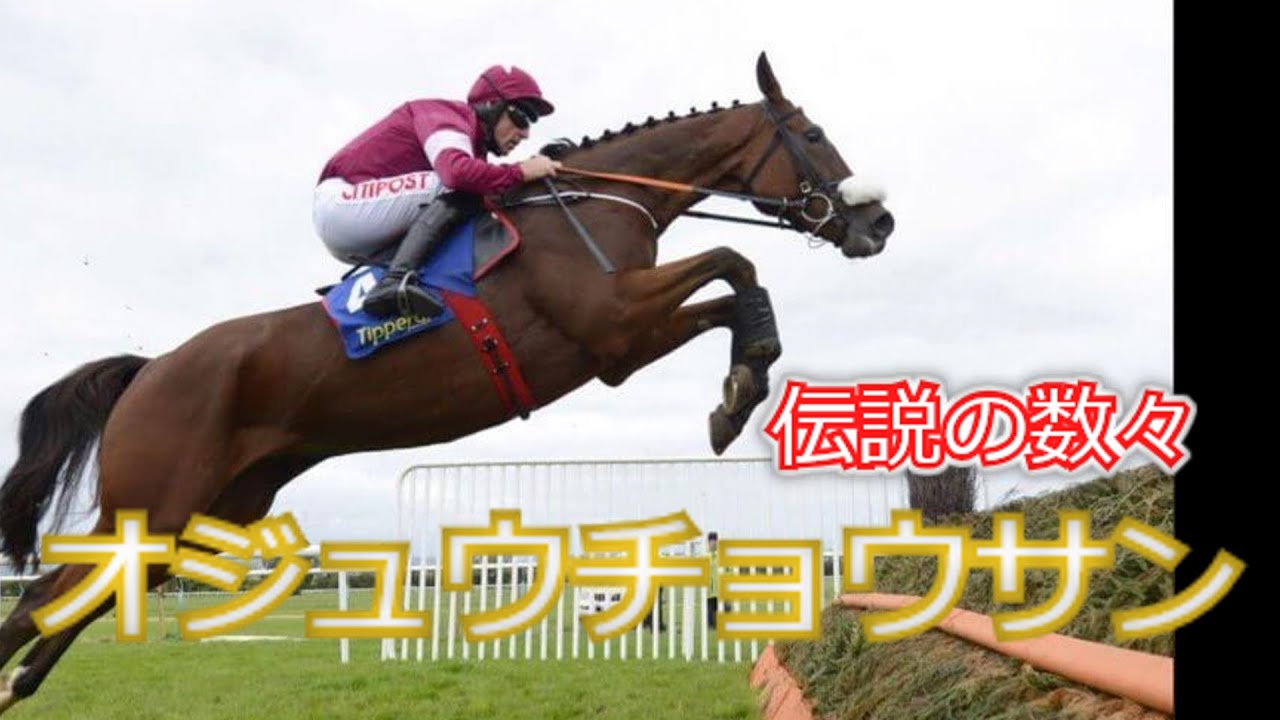 【ゆっくり競走馬名鑑】実は苦労人？伝説メイカーオジュウチョウサン