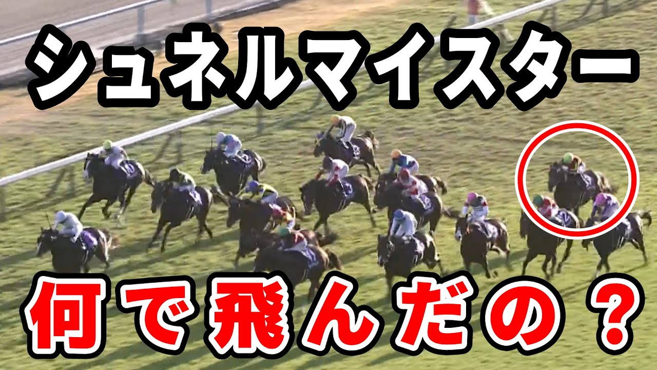 【マイルCS】シュネルマイスターとは何だったのか