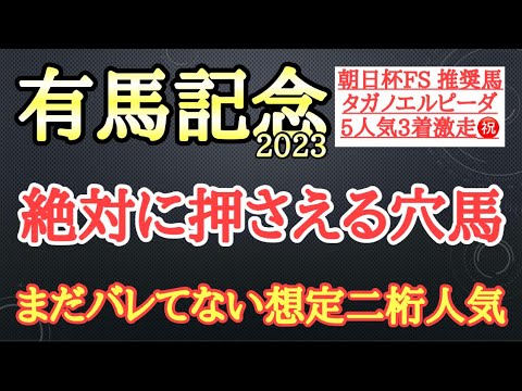 【有馬記念2023】穴馬予想！上がりのかかるタフなレースが向きそうで狙える馬を1頭厳選して公開！