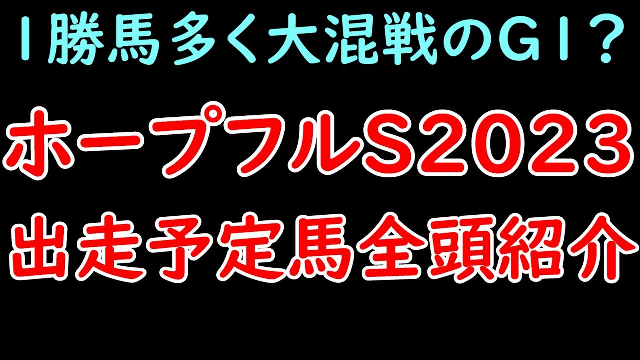 ホープフルS2023出走予定馬を全頭紹介！1勝馬がほとんどで大混戦！？主役はゴンバデカーブースとシンエンペラー！？【ホープフルステークス2023】