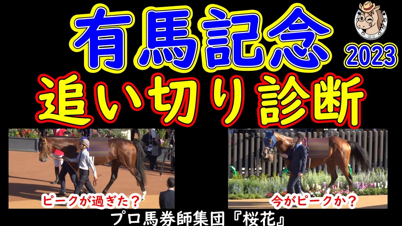 有馬記念2023最終追い切り診断！有馬記念へ出走予定馬は15頭が水曜日に追い切りを行ったが先週の追い切りから劇的に上向いた馬がいる！プロ馬券師集団桜花が各馬の状態面や課題をチェックする！