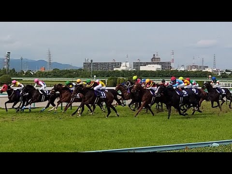 2023宝塚記念 ４コーナ～ 現地映像