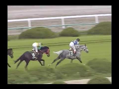 1993 京都大障害春 ビックフォルテ