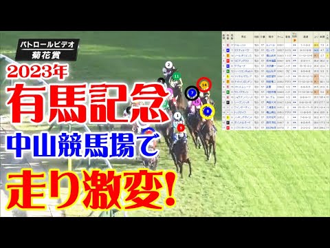 菊花賞をパトロールビデオで振り返ったら、有馬記念が見えてきた！