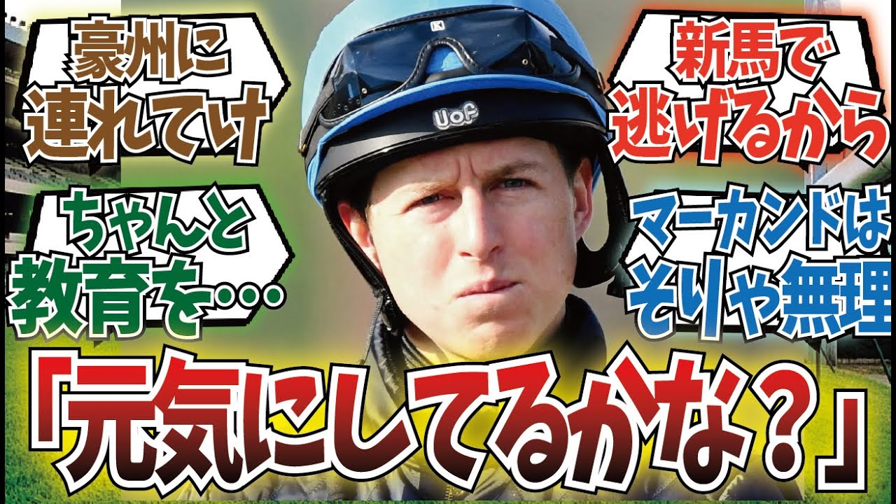 「シュトラウス…イイウマダッタナァ」に対するみんなの反応集