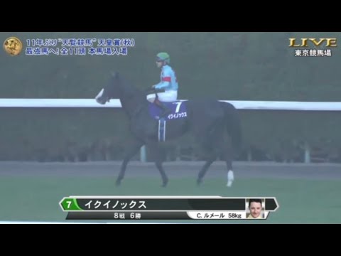 2023年 第168回天皇賞・秋 本馬場入場【イクイノックス】