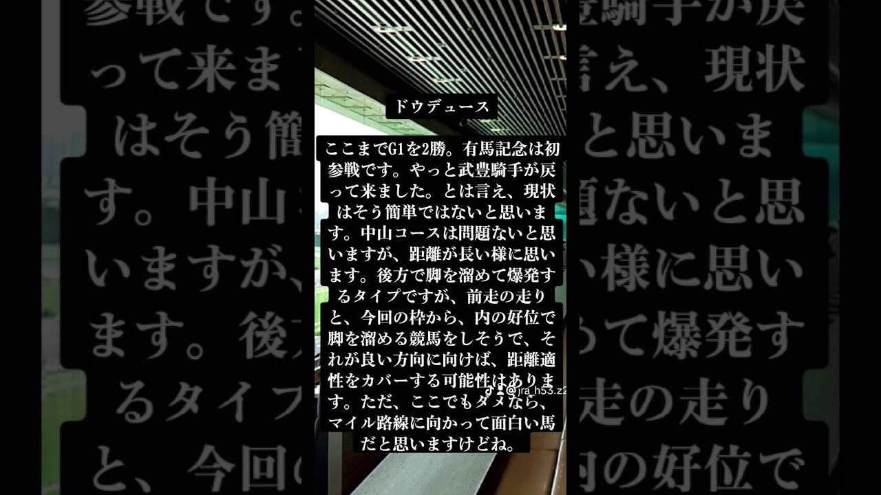 【第1弾、簡易有力馬見解】2023年、有馬記念！