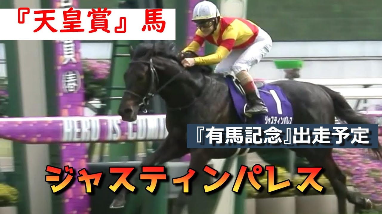 ジャスティンパレス(牡4) 「2歳新馬」から『天皇賞．秋(GⅠ)』までのレース