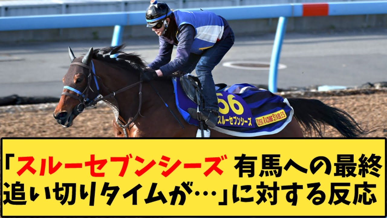 【競馬】「スルーセブンシーズ 有馬への最終追い切りタイムが…」に対する反応【反応集】