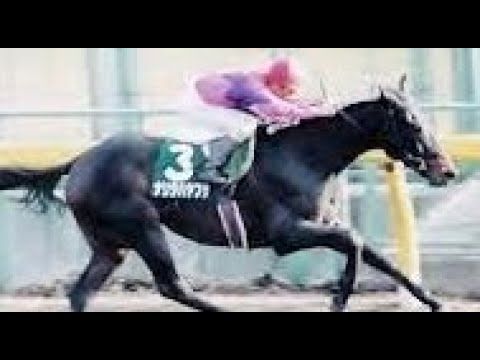 第8回　フェブラリーハンデキャップ （ＧⅢ）　ナリタハヤブサ　牡４　56.5　横山典弘　　1991.2.16　　出走馬：インターシオカゼ、インディアンヒル、ストロングパワー、ミスタートウジン他