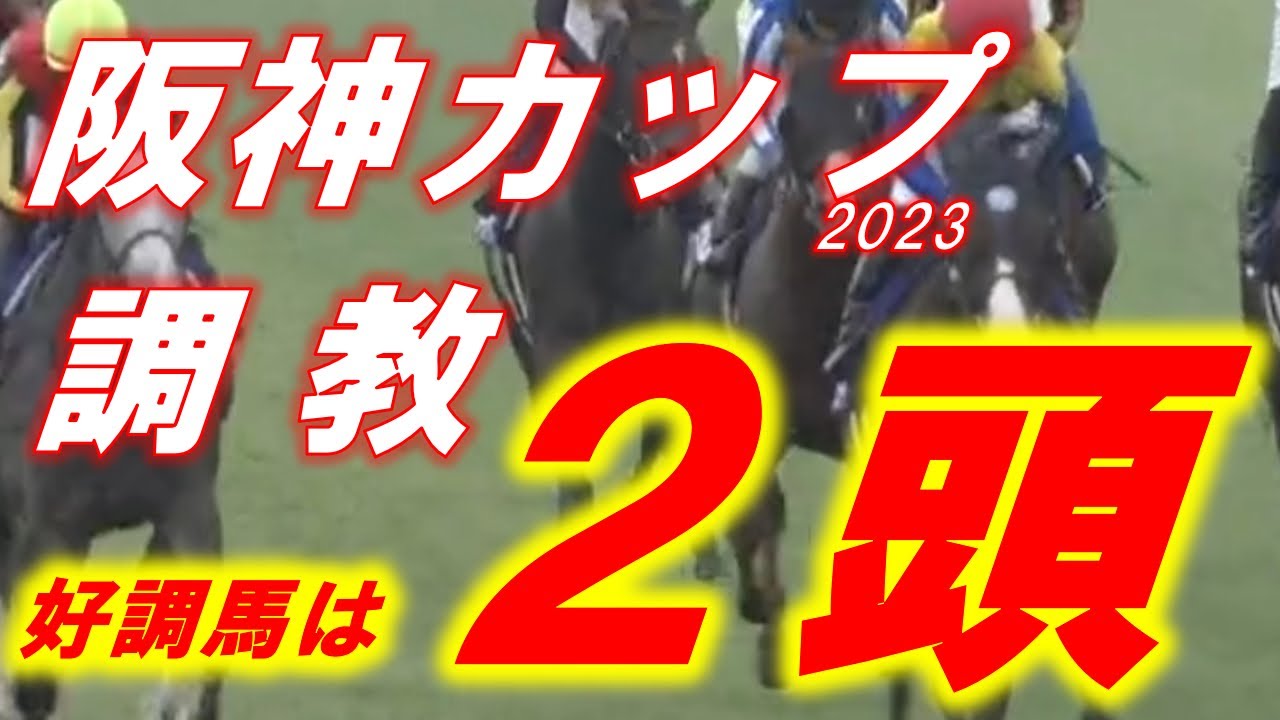阪神カップ2023　追い切り診断　ママコチャ、グレナディアガーズ、ウイングレイテスト　等　元馬術選手のコラム by アラシ