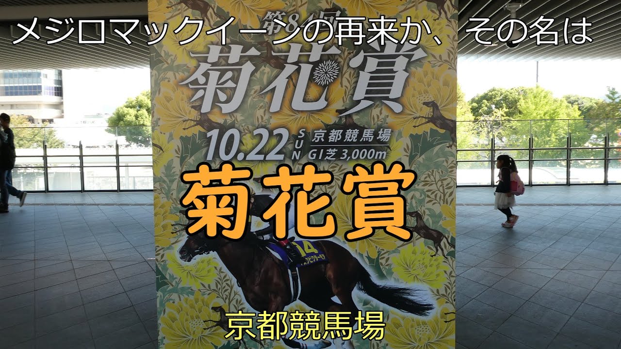 2023年 菊花賞 20231022 メジロマックイーンの再来