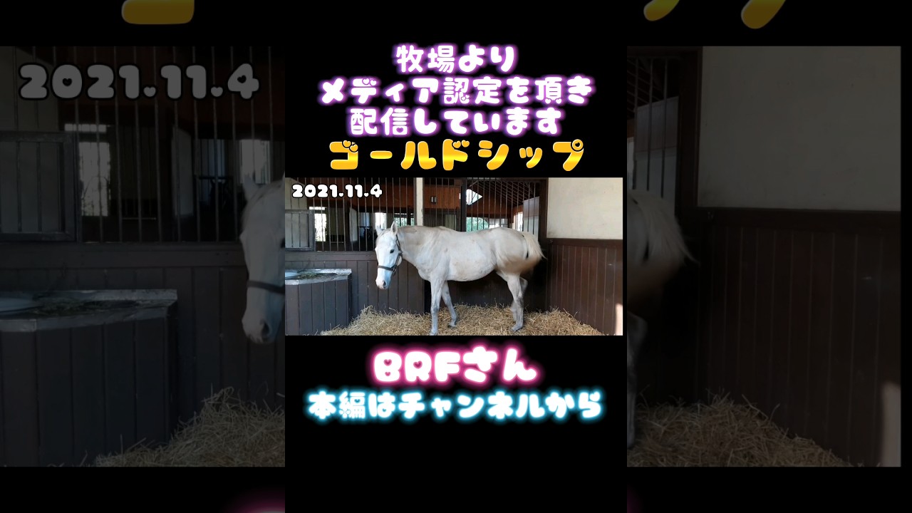 #ゴールドシップ #ビッグレッドファーム さん #ステイゴールド