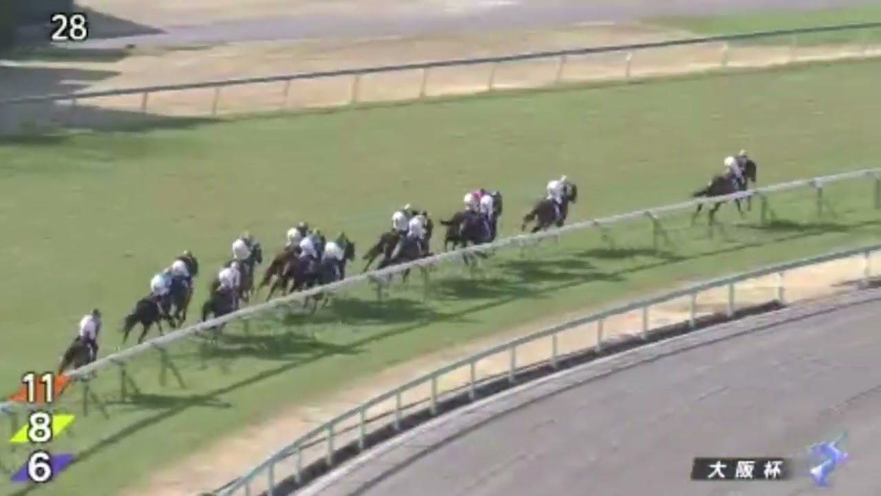 KITASAN BLACK 北部玄駒 (THE SIRE OF EQUINOX) WON OSAKA HAI IN 2017! OSAKA HAI 大阪杯 G1- 2017