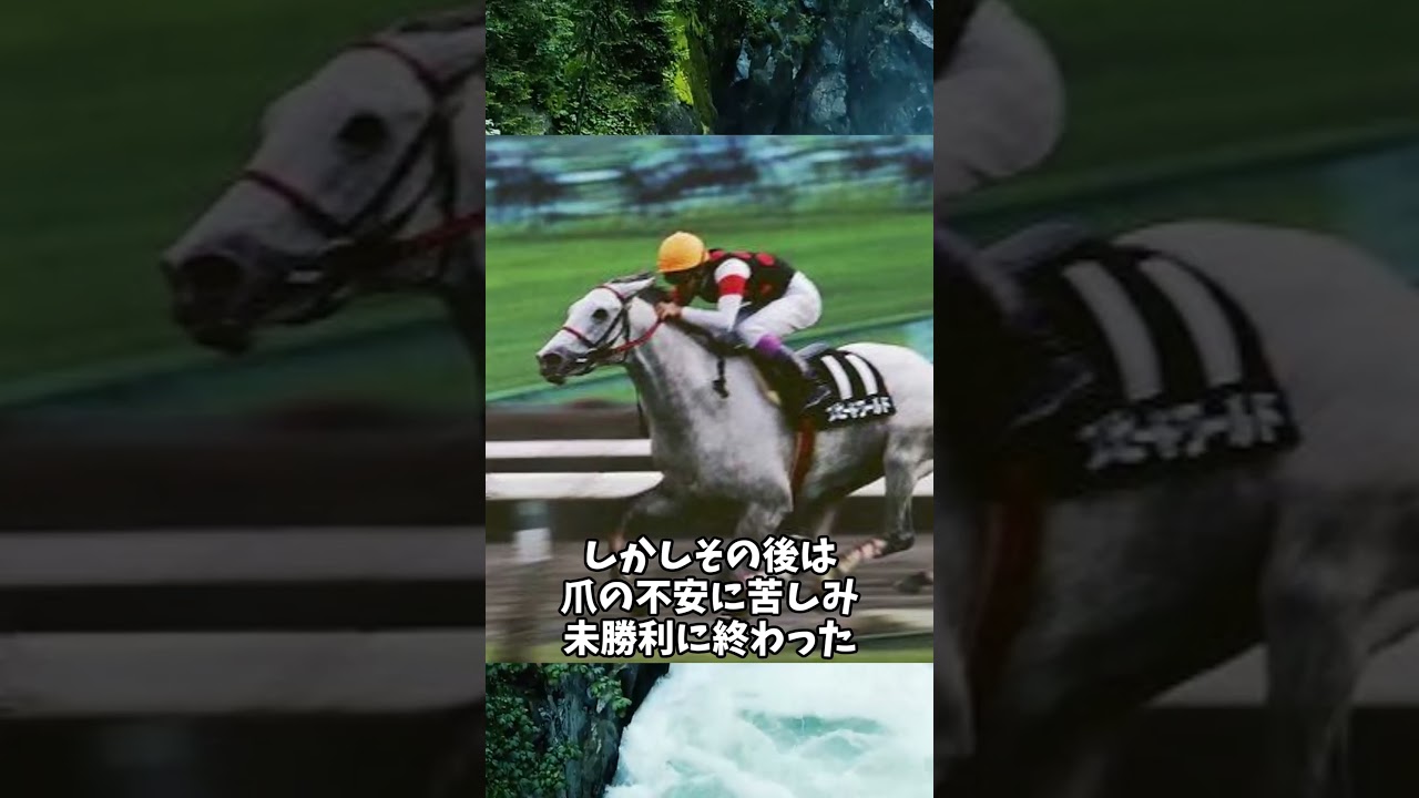 超早熟だった名馬達＃Shorts