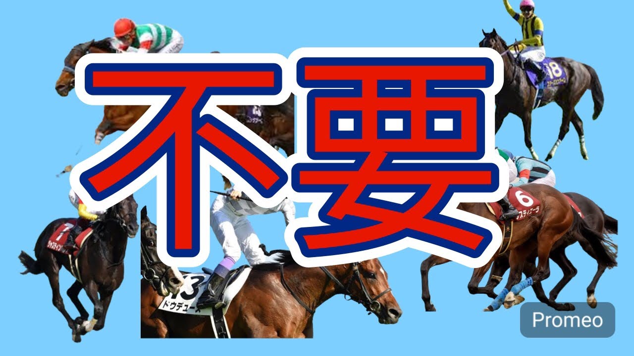 有馬記念の予想！