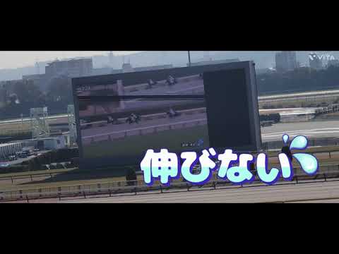 2024/12/16 パークウインズ東京① 障害3歳以上オープンなど