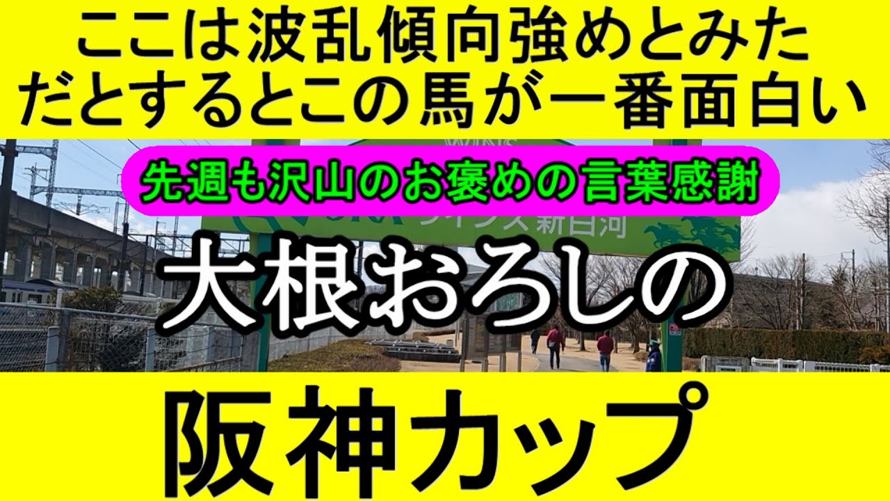 阪神カップ2023のデータから導き出した最終予想【競馬予想】