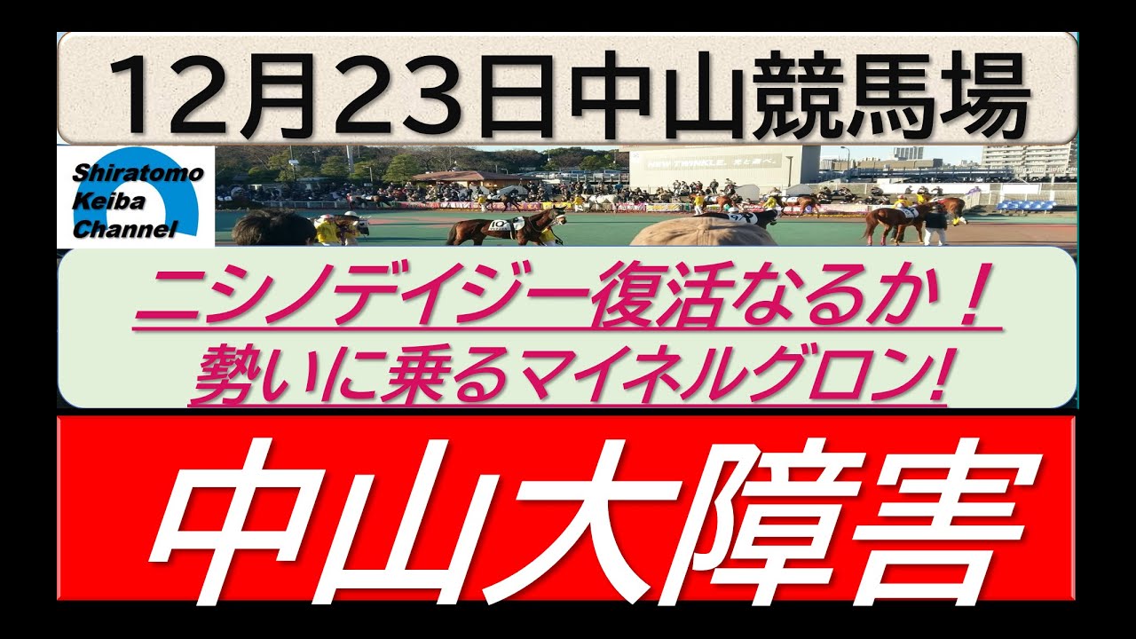 【競馬予想】JGⅠ中山大障害～２０２３年１２月２３日 中山競馬場 ：１２－２３