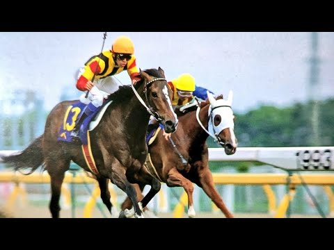 第54回　優駿牝馬（オークス）　ベガ　牝３　55　武豊　1993.5.23　　出走馬：ユキノビジン、マックスジョリー、デンコウセッカ、グランドクロス、ホクトベガ 、オースミシャイン、ヤマヒサローレル他
