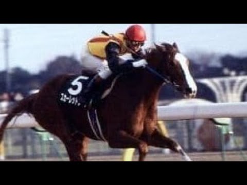 第26回　クイーンカップ （ＧⅢ）　スカーレットブーケ　牝３　54　武豊　1991.1.27　　出走馬：マジョルカシチー、ダンスダンスダンス、フラッシュシャワー、ゴールドナゲット、カチタガール他