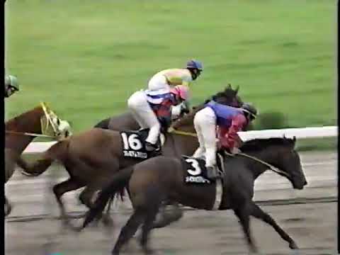 1998 東海S パーソナリティワン