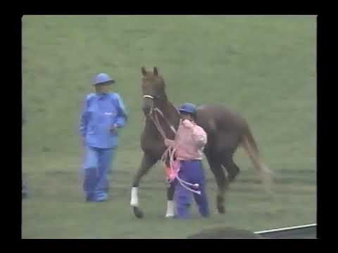 1999 皐月賞 テイエムオペラオー