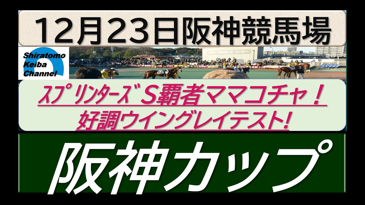 【競馬予想】GⅡ阪神カップ～２０２３年１２月２３日 阪神競馬場 ：１２－２４