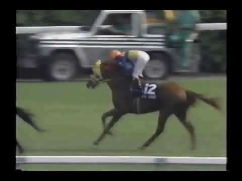 1999 安田記念 エアジハード