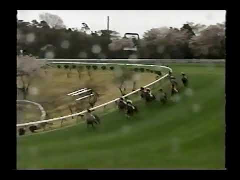 1999 中山グランドジャンプ メジロファラオ