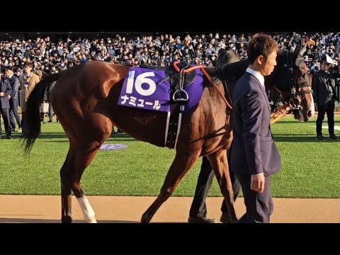 マイルチャンピオンシップ2023 パドック現地映像
