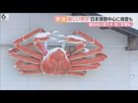 【悪天候でカニ値上がり】販売価格は１．５倍に　近畿各地で今シーズン一番の冷え込み　北部ではあすにかけ断続的に雪