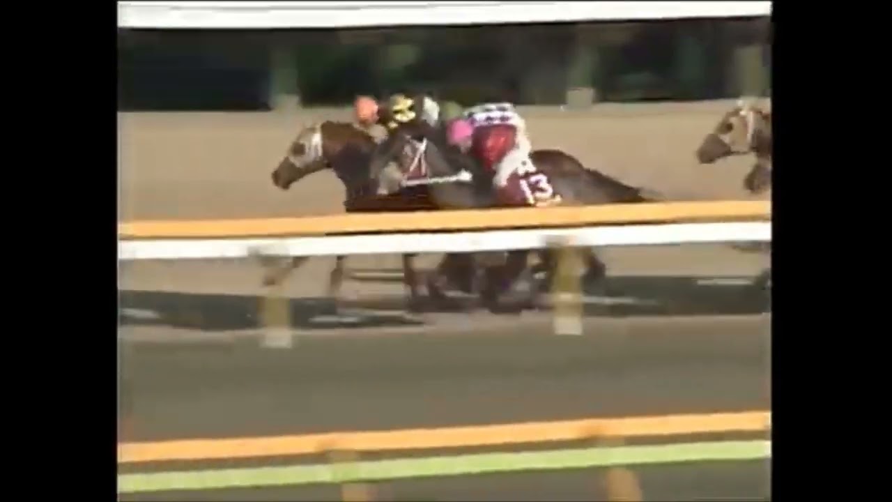 第105回　目黒記念 （ＧⅡ）　カリブソング　牡５　60.5　柴田政人　1991.2.17　　出走馬：トーワタケシバ、オースミシャダイ、チョウカイエース、キリサンシー、ノースシャトル他