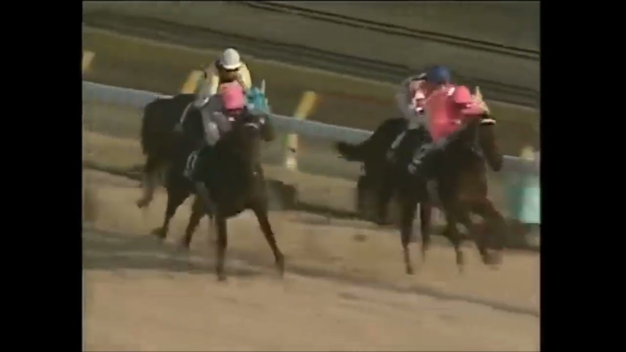 第41回　東京新聞杯 （ＧⅢ）　ホリノウイナー　牡４　54　武豊　　1991.2.3　　出走馬：ストロングクラウン、ノーモアスピーディ、ニホンピロブレイブ、ヒカルダンサー、ユートジョージ、リンドホシ他