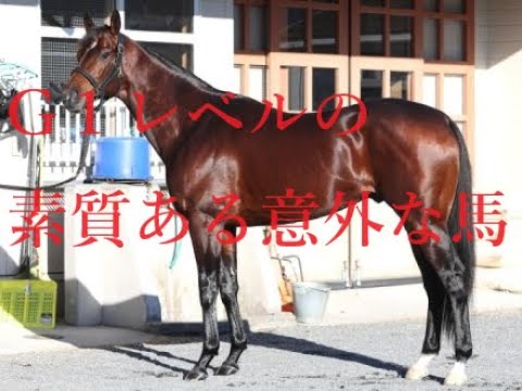 有馬記念 阪神カップ 人気の盲点や過小評価の馬を狙え！！追い切りの動きがよかった調教推奨馬