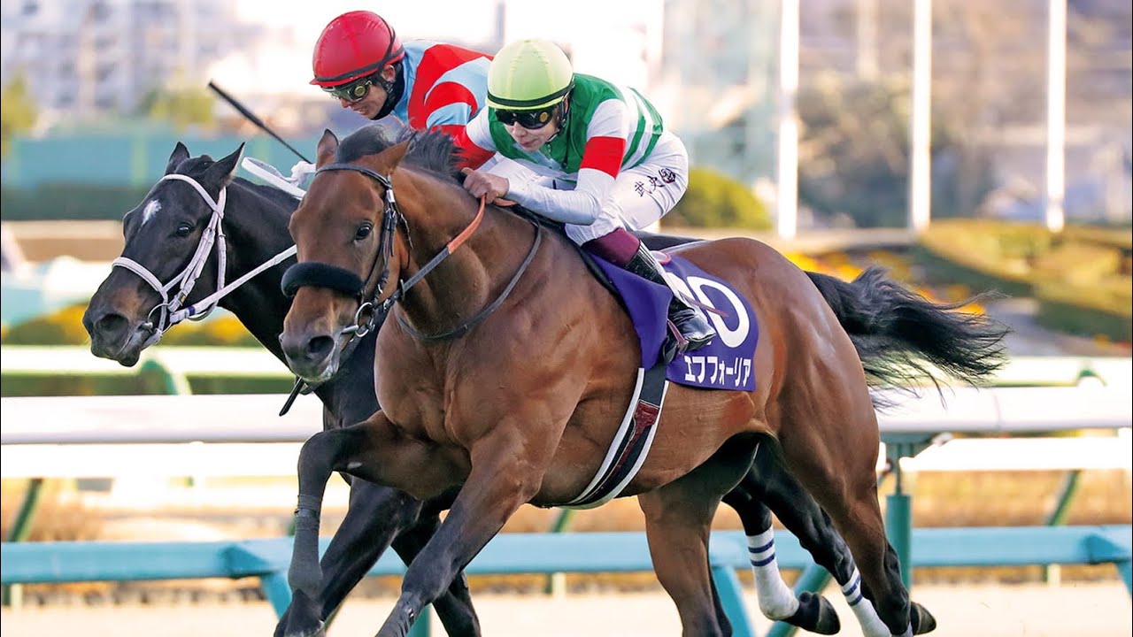 有馬記念　出走馬紹介
