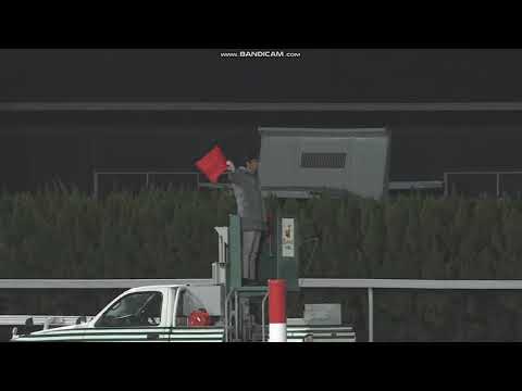 2023年 名古屋グランプリ（JpnII）ファンファーレ