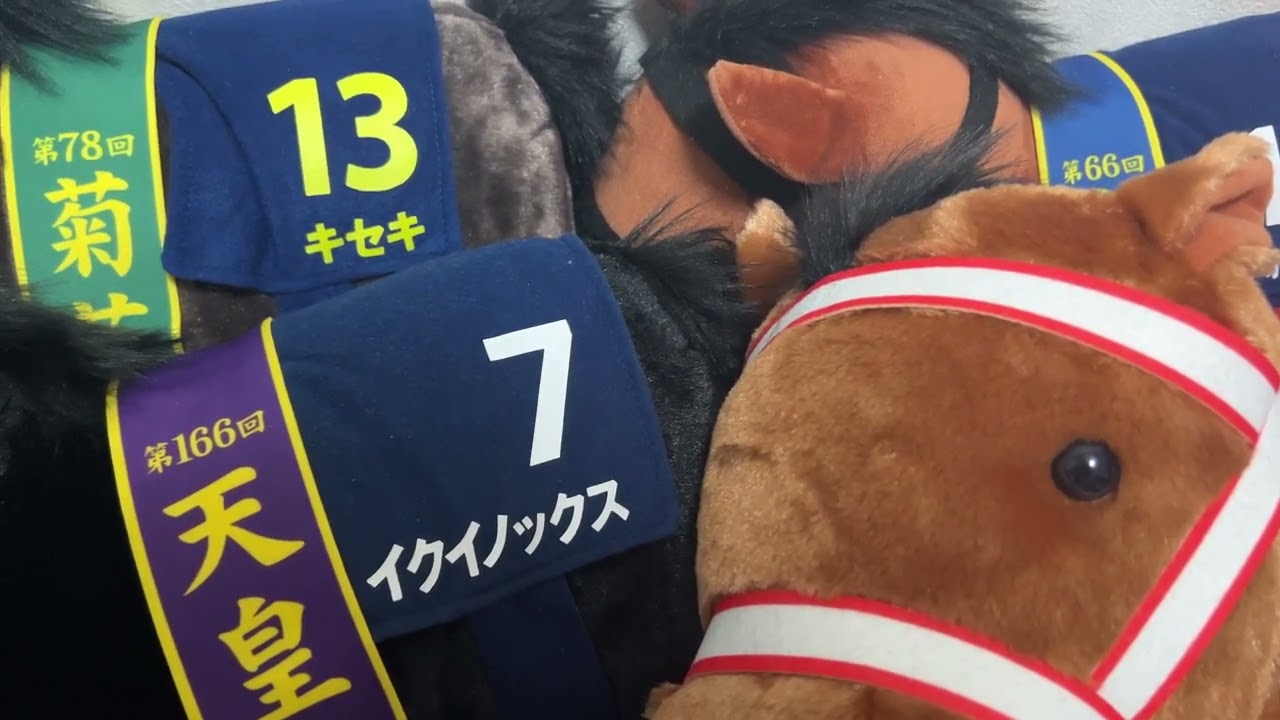 有馬記念について